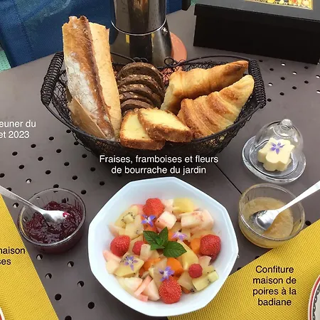 La Foulonniere De Gasthof Neuville-sur-Saône